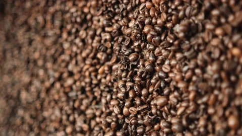 Close up of seeds of coffee. Fragrant coffee beans Stock Footage 162870459