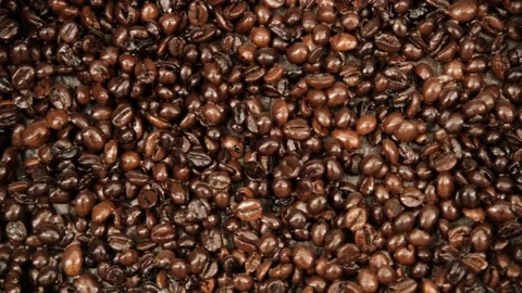 Close up of seeds of coffee. Fragrant coffee beans Stock Footage 162938376