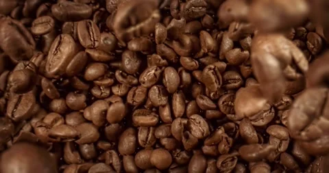 Close up of seeds of coffee. Fragrant coffee beans Super Macro Close Up. Sh.. Stock Footage 345582287