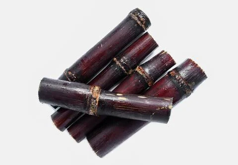 Close up of Segment sugar cane or Saccharum officinarum  Stock Photos