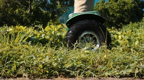 Close up of segway wheels going through grass, trees and mountain in background Stock Footage 65301182