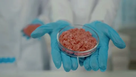 Close-up selected focus petri dish artificial cultured meat Vídeos de archivo 197418768