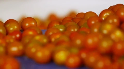 Close-Up, Selective Focus, 10 Seconds Or Greater, Part Of, Human Hand, Indoors, Stock Footage 94020386