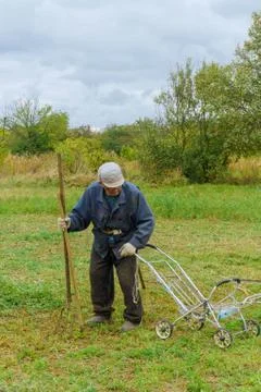 Close up of senior farmer using scythe to mow the lawn traditionally Stock Photos
