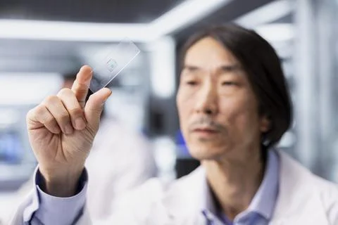 Close up of senior microscopist examining microscope glass slide Stock Photos