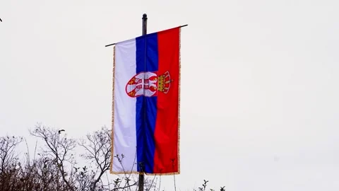 Close-up of the Serbian flag fluttering in the wind. Serbian symbol on a gray Stock Footage 268412783