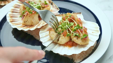Close-up of serving with fork and knife freshly made Seared Scallops. Stock Footage 142825579