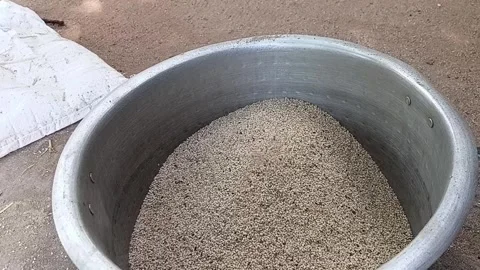 Close Up of Sesame Grains Falling into Bowl, Wind Winnowing Stock Footage 340114743