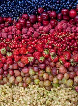 Close-up set of different berries. Redcurrant, gooseberry, raspberry, strawberry Stock Photos