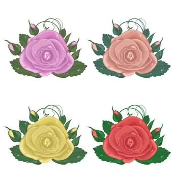 Close-up set of roses isolated on white background Stock Illustration