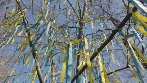 Close-up of set of yellow and blue ribbons, symbolising flag of Ukraine, tied to Stock Footage 330268661