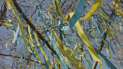 Close-up of set of yellow and blue ribbons, symbolising flag of Ukraine, tied to Stock Footage 335897910