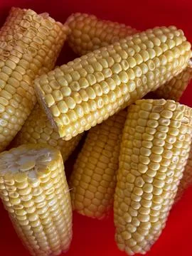 Close-up of several boiled corn cobs placed in a red bowl Stock Photos