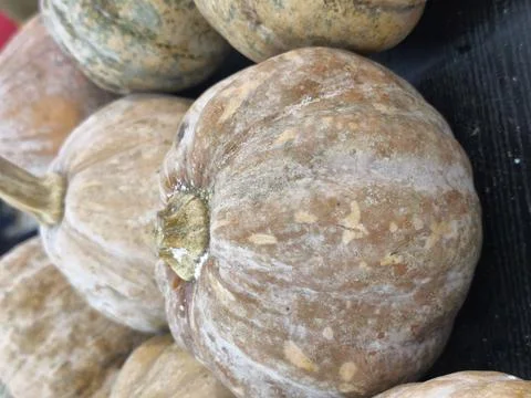 Close-up of several brown pumpkins stacked. 库存照片