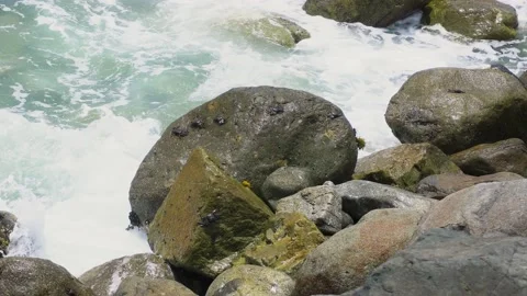 Close-up of several crabs sunbathing on rocks on the seashore with the waves Видео 194467687