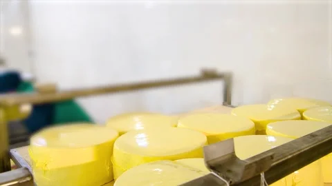 A close-up of several cylindrical cheese wheels placed on an automated prod.. 스톡 동영상 328227710