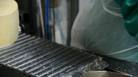 A close-up of several cylindrical cheese wheels placed on an automated prod.. Stock Footage 329870652