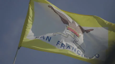 Close-up of SF flag waving in wind, San Francisco Stock Footage 333580680