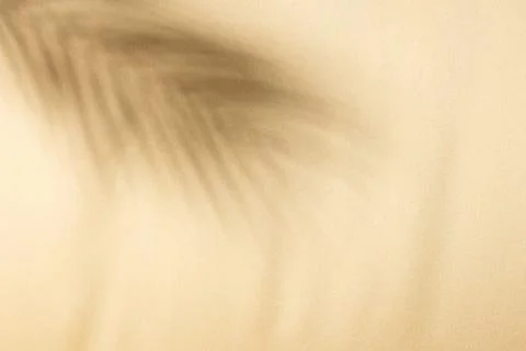 Close up of shadow of palm leaf and copy space on yellow background Stock Photos