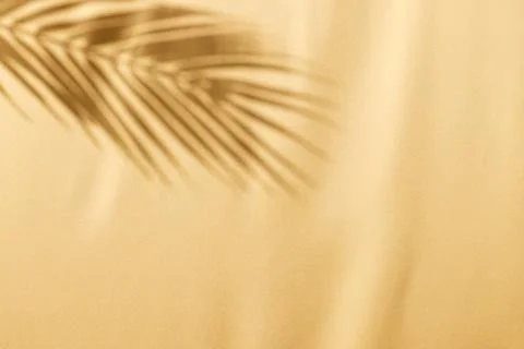 Close up of shadow of palm leaf and copy space on yellow background Foto stock
