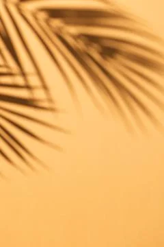 Close up of shadow of palm leaf and copy space on yellow background 스톡 사진