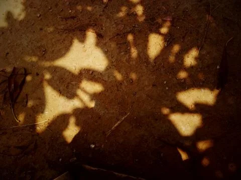 A close up of a shadow Stock Photos