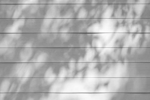 Close up of shadow of tree on wooden background Stock-Fotos