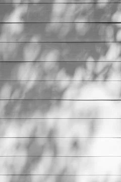 Close up of shadow of tree on wooden background Stock Photos