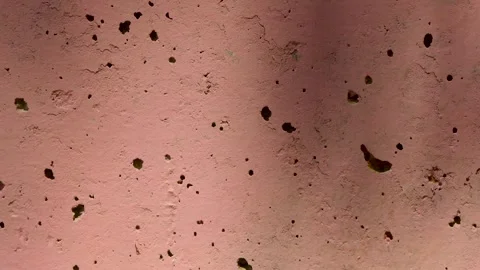 Close-up shadows on a brown painted concrete wall Video stock 248995176
