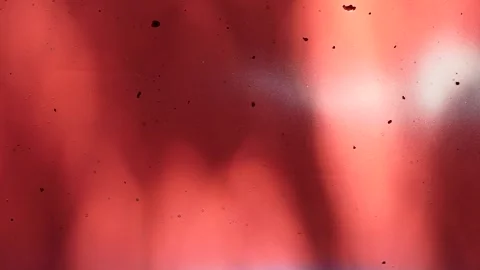 Close-up shadows on a red painted concrete wall Stock Footage 248910676