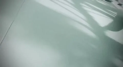 Close up of shadows of thin tree branches with leaves on a white wall Stock Footage 294064176