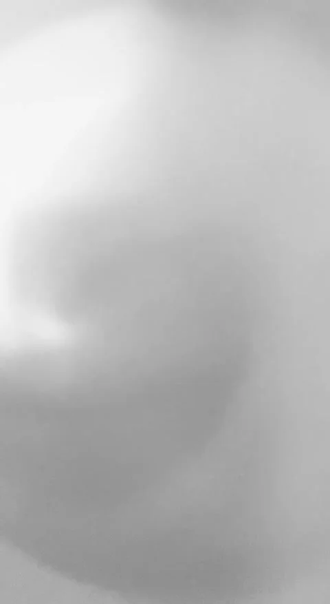 Close up of shadows of thin tree branches with leaves on a white wall Stock Footage 294064183