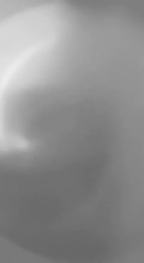 Close up of shadows of thin tree branches with leaves on a white wall Stock Footage 294064184