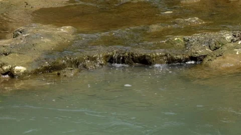 Close up of a shallow and clear river flow 스톡 동영상 336844146