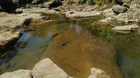 Close-up of shallow clear pool in dry-season mountain stream over rocky sand Stock Footage 344429326