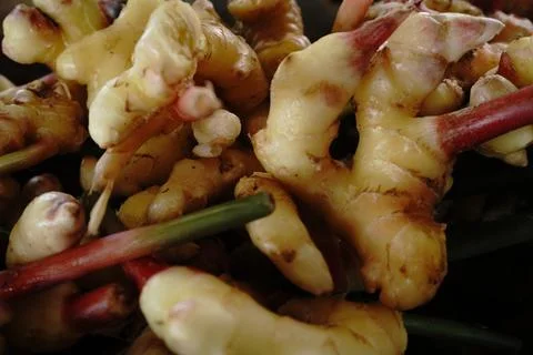 A close-up shallow depth of field view of fresh ginger roots Foto stock