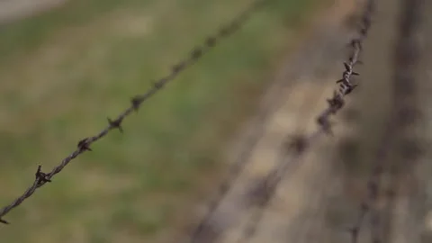 Close Up Shallow Depth Shot of Barb Wire Fence at Auschwitz Poland Stock Footage 143764809