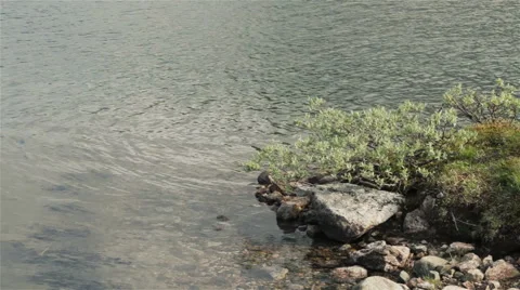 Close up of shallow fresh water Stock Footage 52999311