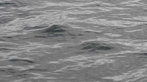 Close-up of shallow sea water surface texture, silver sea at depressive Stock Footage 171758629
