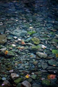 Close up shallow stream with clear water concept photo Stock Photos