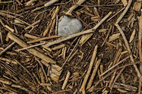 Close up of the shape of a stone heart surrounded by small pieces of wooden s Stock Photos