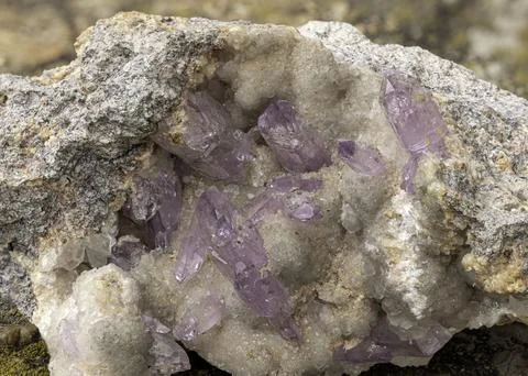 Close-up of sharp amethyst quartz crystals on natural matrix, featuring del.. Stock Photos