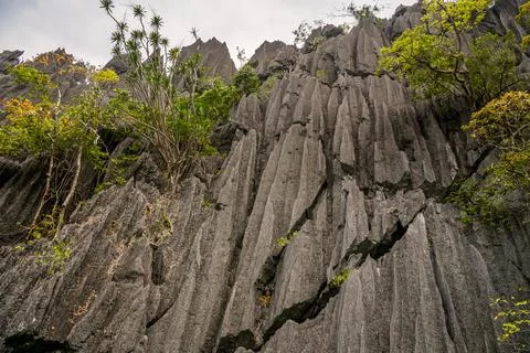 Close up on the sharp black limestone cliffs of Coron, Palawan, Philippines Stock Photos