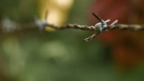 Close up of sharp wired fence bordering private area with blurred background Stock Footage 141248999