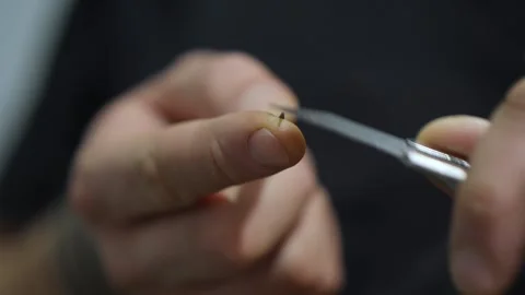 Close-up. sharpening a simple pencil with a knife. the sound of carpentry tools Stock Footage 146572129