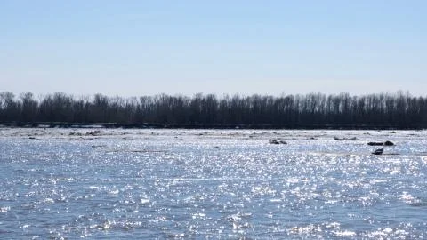 Close up sheets of ice floating on the Ob River. Stock Photos