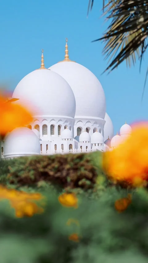 Close-up Sheikh Zayed Grand Mosque in Abu Dhabi made of white marble with flower Stock-Footage 304745101
