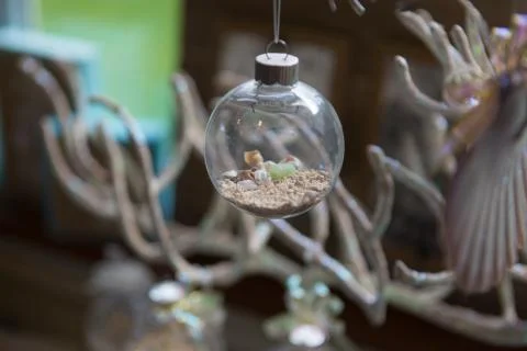Close up of shell decor sphere hanging in a souvenir shop. Maui, Hawaii Stock Photos