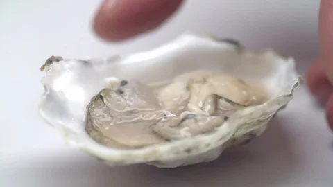 Close-up of a shell with an oyster. Stock Footage 77631062