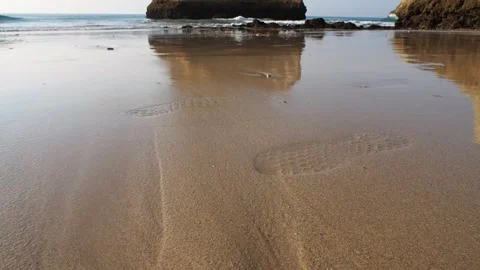 Close-up of a shell in wet beach sand with golden reflections from the rocks. Vídeos de archivo 260263911
